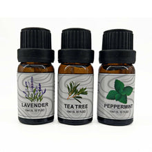 Load image into Gallery viewer, 3 Pack - Aromatherapy Essential Oils Gift Set