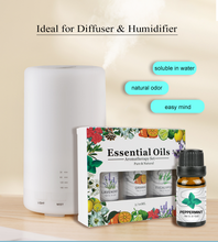 Load image into Gallery viewer, 3 Pack - Aromatherapy Essential Oils Gift Set